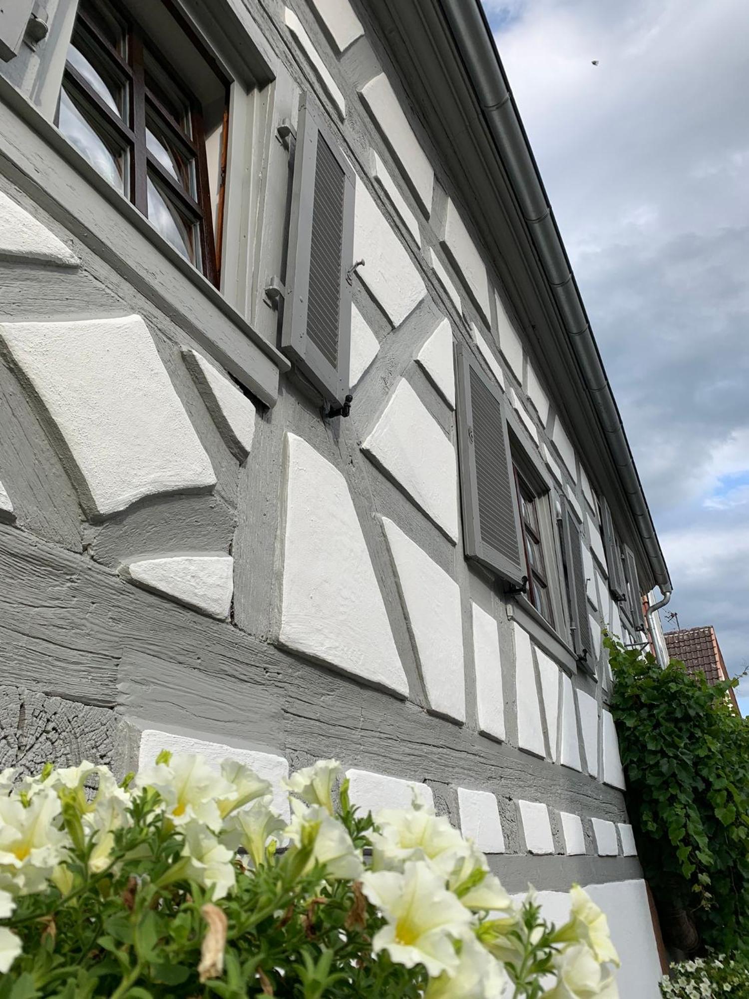 Ferienwohnung Sambachhaus Gleiszellen-Gleishorbach Kültér fotó